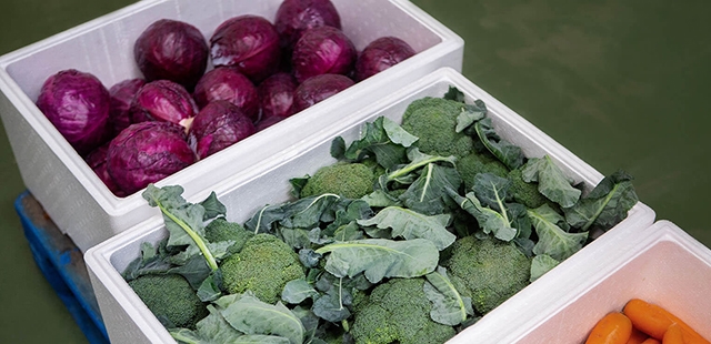 泡沫箱生產設備首先福建蓝莓视频機械的理由